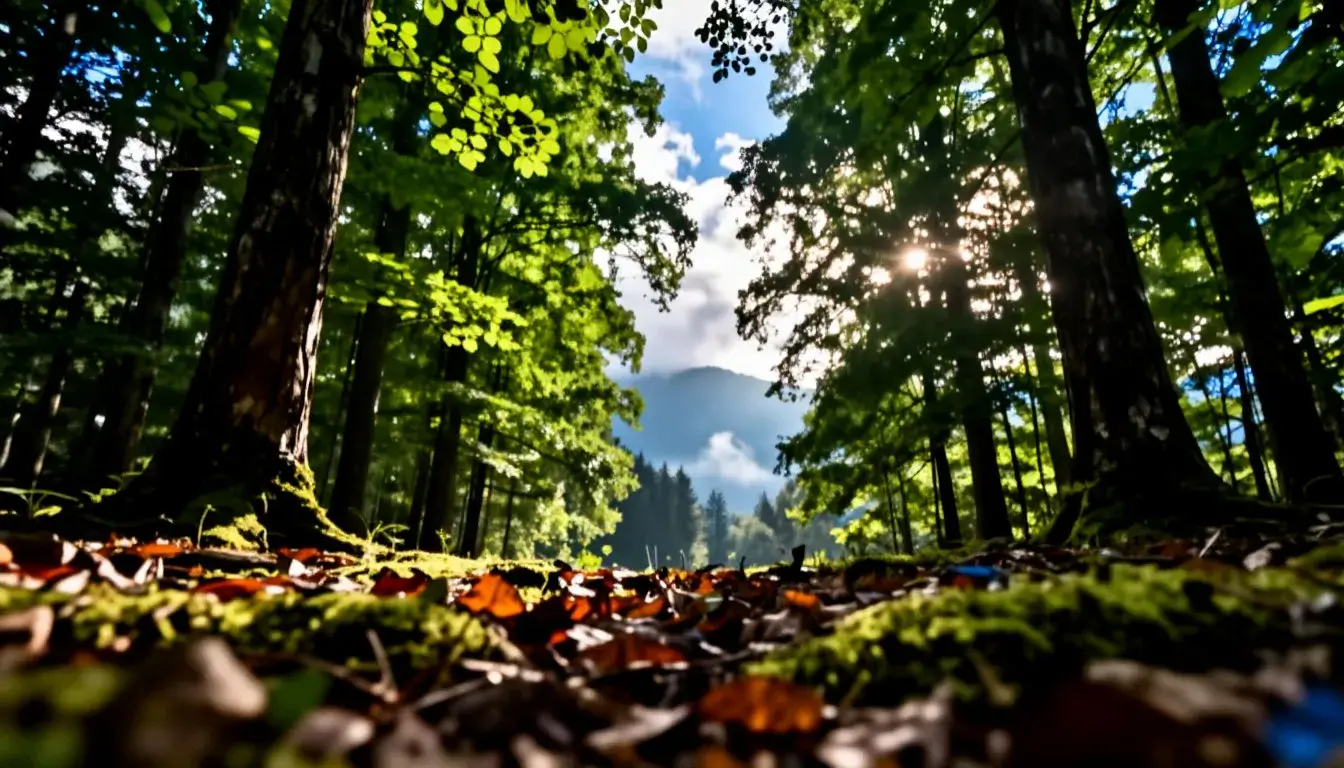 ���������� ������ ����� � ������������� ������������